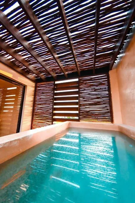 Maha Tulum Luxury Apartment Private Pook
