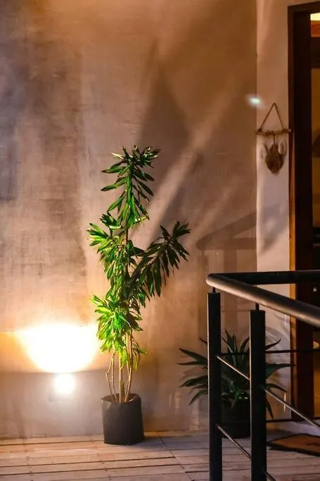 Maha Tulum Luxury Apartment Private Pook Mexico